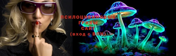 спиды Инта
