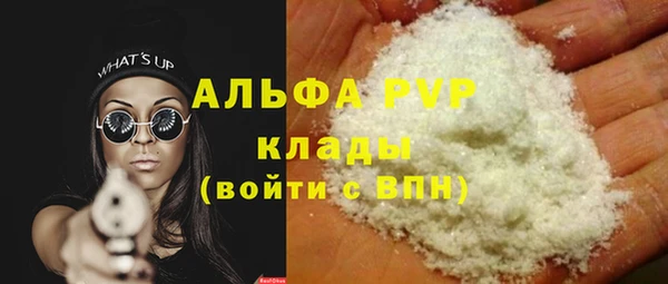 мяу мяу мука Инсар