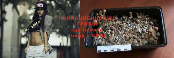 спиды Инта