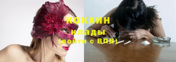 мяу мяу мука Инсар