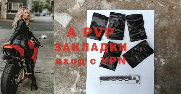 спиды Инта