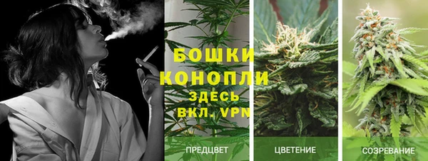 мяу мяу мука Инсар