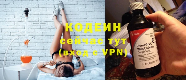 мяу мяу мука Инсар