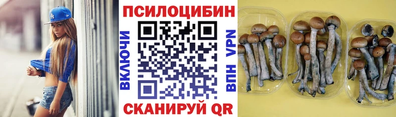 Галлюциногенные грибы Psilocybe  Элиста 