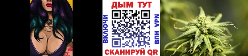 Бошки марихуана AK-47  где можно купить наркотик  Элиста 